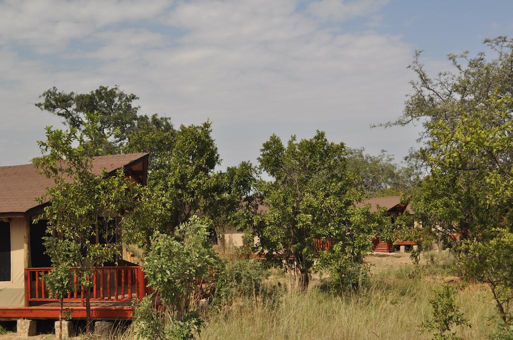 Luxury tent Elephant Rock Luxury Camp Tarangire